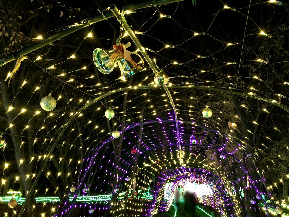 栃木県下野市
グリムの森イルミネーション
3年ぶりに開催されています🎄✨
色鮮やかで大変綺麗でした👏✨