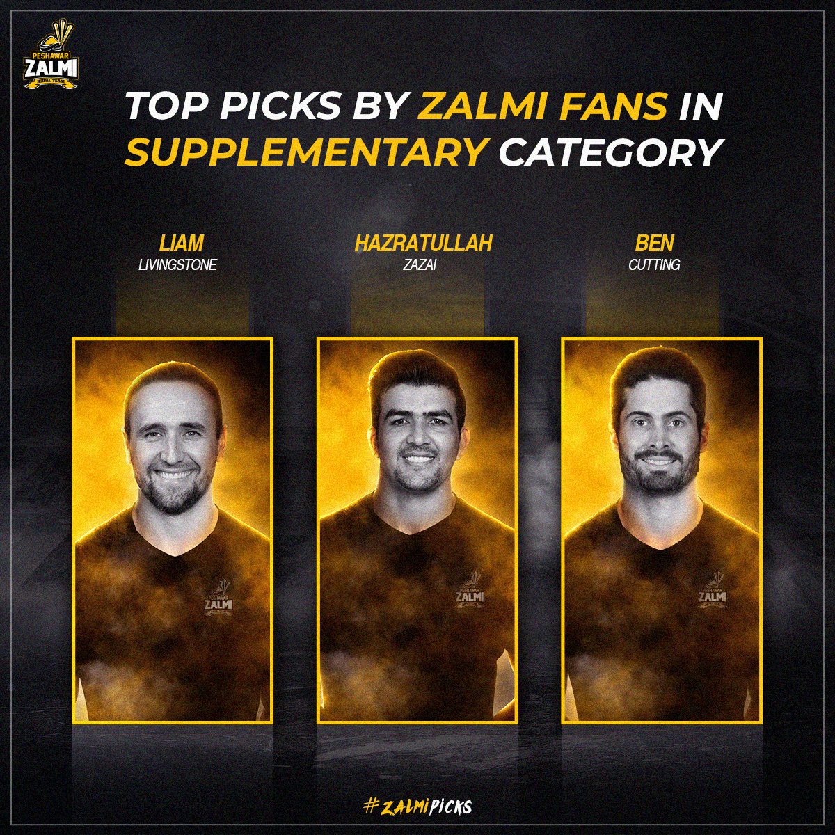 PeshawarZalmi's tweet photo. Here are the top picks suggested by Zalmi Fans in Supplementary Category for @thePSLt20 Season 8 Drafts. 

Which of these former Peshawar Zalmi players should Zalmi repick on 15th December ⁉️⚡️

#ZalmiPicks #YellowStorm #Zalmi https://t.co/Cj6iz7Ngrx