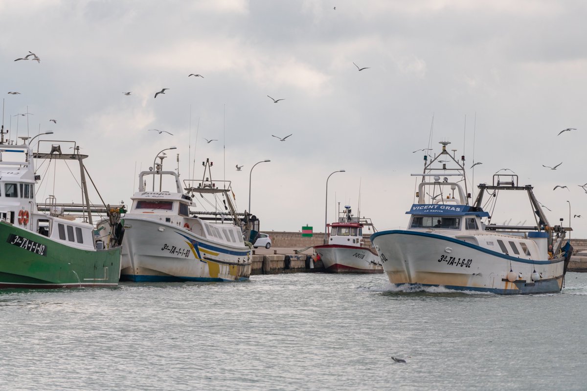 UN_FAO_GFCM's tweet photo. #Discovering the 7⃣ chapters of #SOMFI2022❗️
1⃣ Status of the #fishing #fleet:
📌 This chapter #encompasses the most up-to-date #information on fishing fleets operating in the
#Mediterranean and #BlackSea.
🗞️https://t.co/kiJVal3Xyx https://t.co/8xgSBumG1R