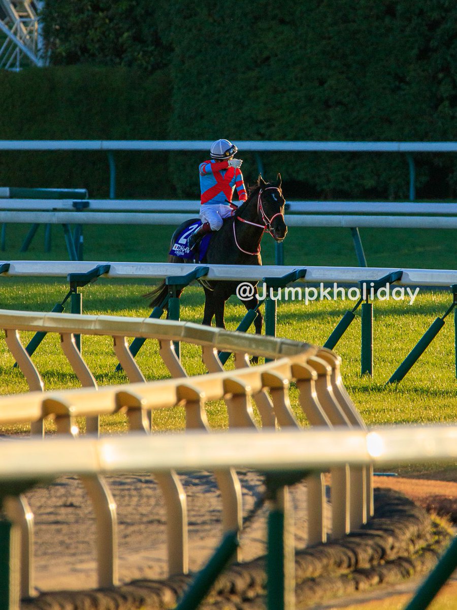 JUMP.K tweet media