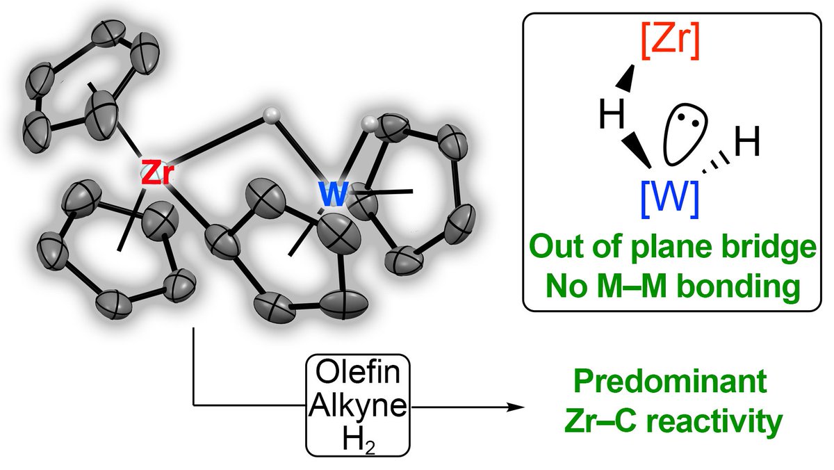 Luca Rocchigiani (@carlsbergite) on Twitter photo Check out our latest contribution in <a href="/DaltonTrans/">DaltonTransactions</a> on Zr/W bimetallic hydrides: doi.org/10.1039/D2DT03….
Very proud of former MChem <a href="/UEA_Chemistry/">UEA Chemistry</a> Selwin <a href="/fernando_selwin/">Selwin Fernando</a> and PhD student Martina <a href="/UniperugiaNews/">Università degli Studi di Perugia</a>. For them, this is just the beginning... Check out our latest contribution in <a href="/DaltonTrans/">DaltonTransactions</a> on Zr/W bimetallic hydrides: doi.org/10.1039/D2DT03….
Very proud of former MChem <a href="/UEA_Chemistry/">UEA Chemistry</a> Selwin <a href="/fernando_selwin/">Selwin Fernando</a> and PhD student Martina <a href="/UniperugiaNews/">Università degli Studi di Perugia</a>. For them, this is just the beginning...
