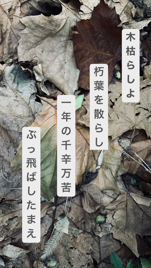 木枯らしよ
朽葉を散らし
一年の
千辛万苦
ぶっ飛ばしたまえ

#短歌