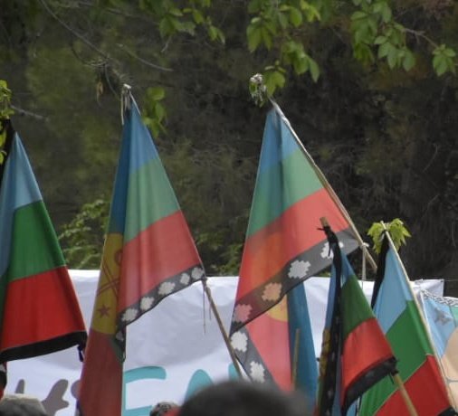 #Hoy en la <a href="/750nqn/">750nqn</a> el lonko Mauro Millán y el pedido de audiencia de comunidades #mapuche en Nación x la detención x usurpación de las mujeres Mapu e hijes en Bche🎙autoridades Mapu de
Chubut, RN y Nqn el 12/12 en Caba tras un Traun en el Sur 🌿con <a href="/fabipolizzo/">Fabian Polizzo</a> y <a href="/AbiiVarela/">Abigail</a>