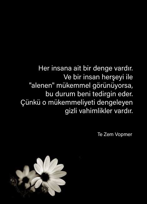 🔹 The flaw of perfection.