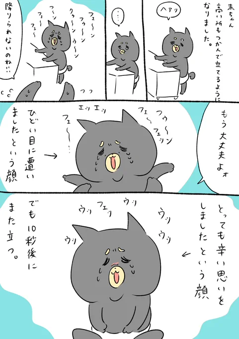めげない男です 