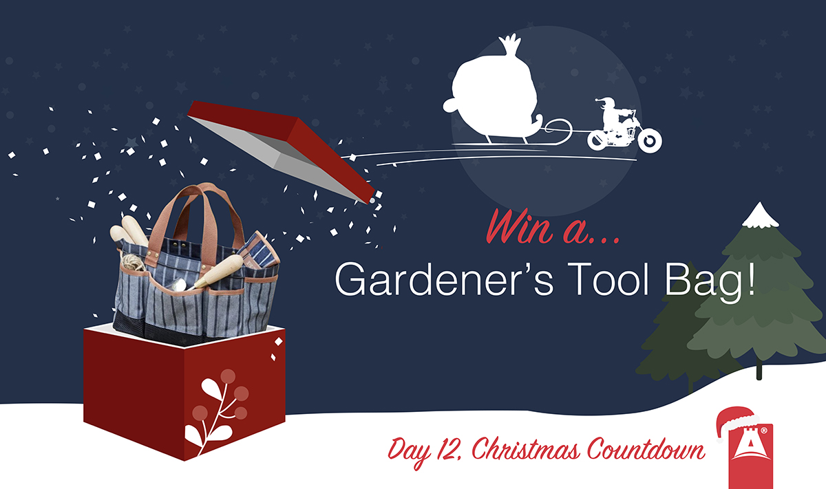 AsgardStorage's tweet photo. To finish our 2022 Christmas Countdown, we’re giving away this handy Gardeners Tool Bag. 

To win:
⭐ Follow us
⭐ Retweet this post
⭐ Tag a friend in the comments.

1 winner. Standard Asgard customer T&amp;Cs apply. UK mainland only. Ends 22/12/22 at 23.59 GMT. https://t.co/M502fwf6RH