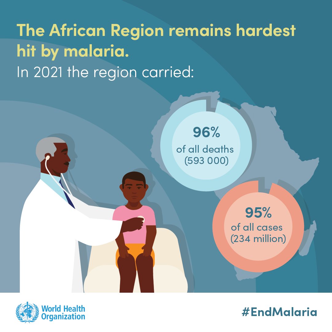 Target Malaria (@targetmalaria) on Twitter photo The <a href="/WHO/">World Health Organization (WHO)</a> #WorldMalariaReport has been published!
The report highlights the importance of new tools 🔬to meet global #malaria targets.
Read our blog by Professor <a href="/azraghani/">Azra Ghani</a> of <a href="/imperialcollege/">Imperial College London</a> to find out more⬇️
targetmalaria.org/world-malaria-…
#endmalaria #malariaresearch The <a href="/WHO/">World Health Organization (WHO)</a> #WorldMalariaReport has been published!
The report highlights the importance of new tools 🔬to meet global #malaria targets.
Read our blog by Professor <a href="/azraghani/">Azra Ghani</a> of <a href="/imperialcollege/">Imperial College London</a> to find out more⬇️
targetmalaria.org/world-malaria-…
#endmalaria #malariaresearch