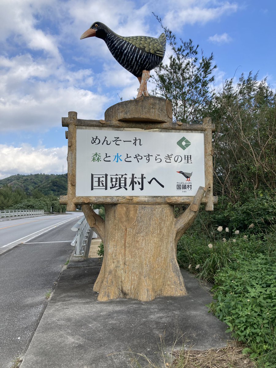 やんばるくいな