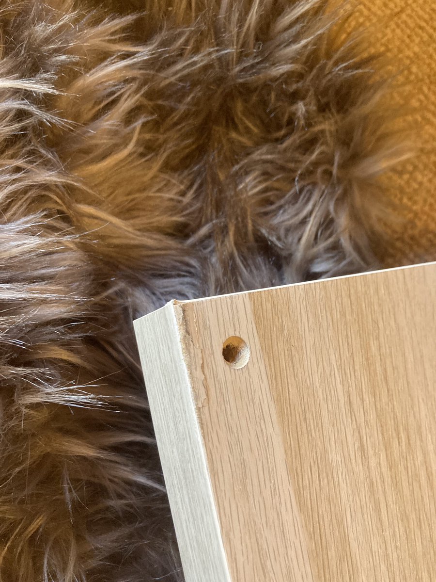 Nick Lee tweet media