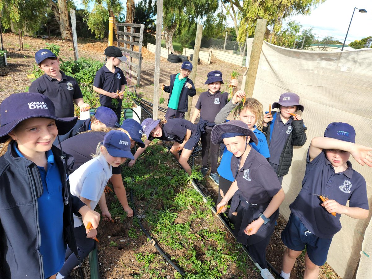 WA Education News tweet media