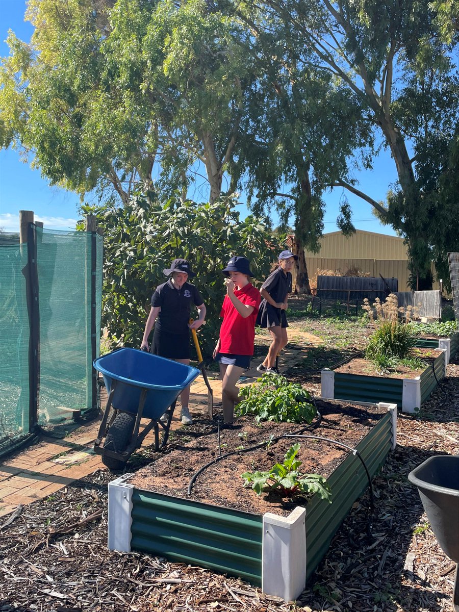 WA Education News tweet media