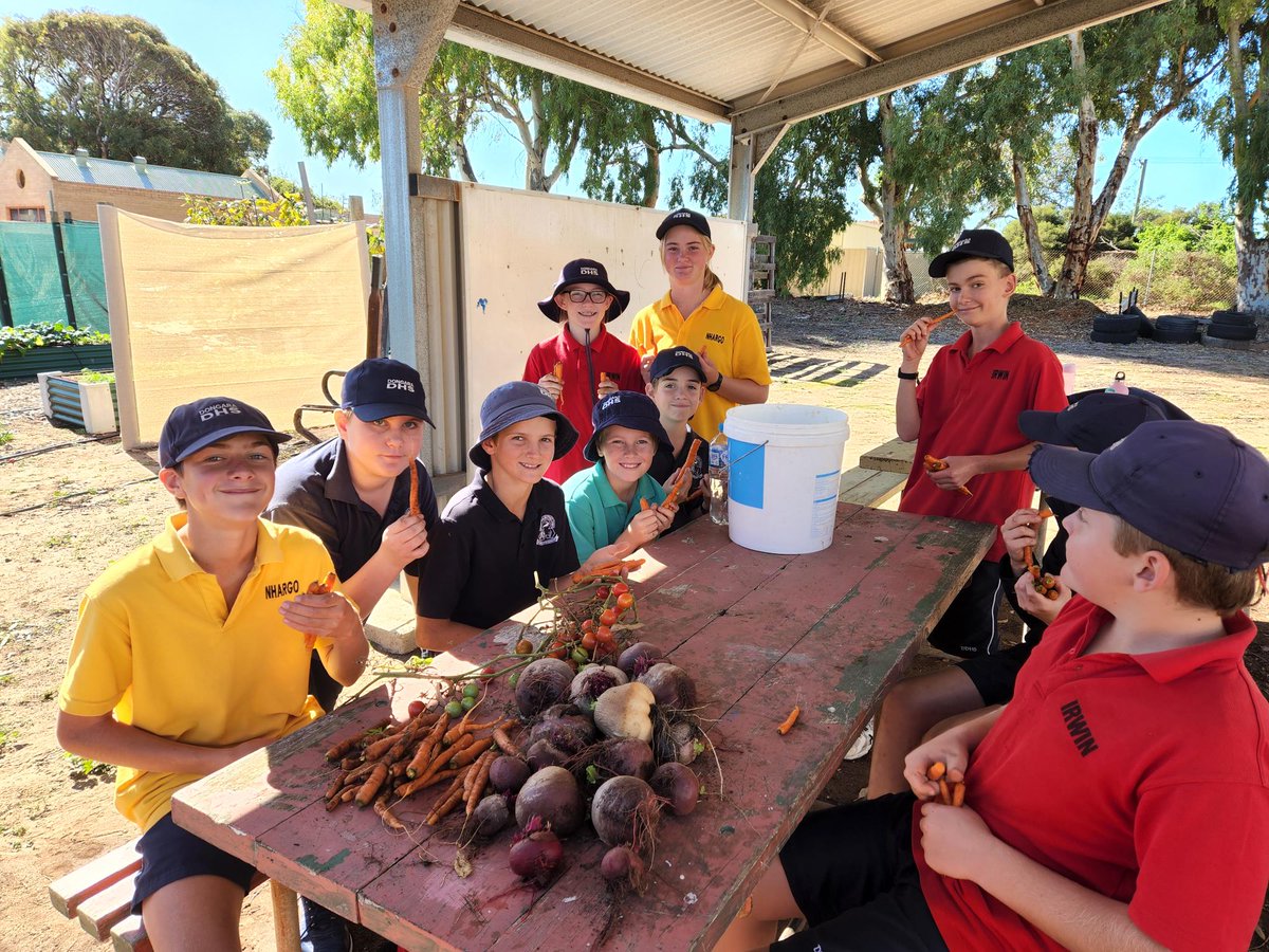 Green-thumbed students🥕🌱💚 Budding gardeners at Dongara DHS sowed vegetable seedlings and put their cooking skills to the test, turning their produce into bottles of sauces and chutney. Read more here👉education.wa.edu.au/news/green-thu…