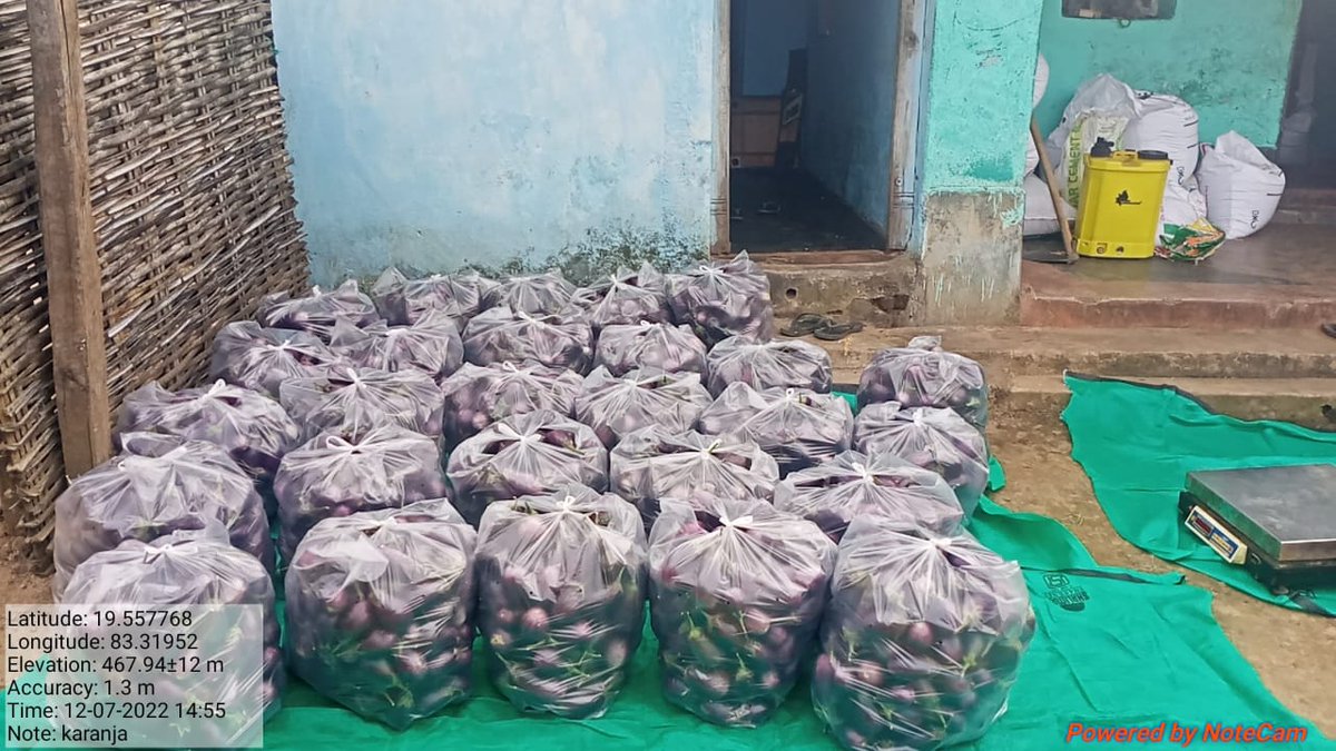 harshatrust's tweet photo. #CollectiveMarketing reduces the cost of marketing and provides better prices for the produce. Gangajamuna #producergroup (PG) conducted collective marketing of rabi vegetables in Kalyansinghpur block, #Rayagada.
#harshatrust #kalyansighpur
#AxisBankFoundation https://t.co/EE9d58VuMf