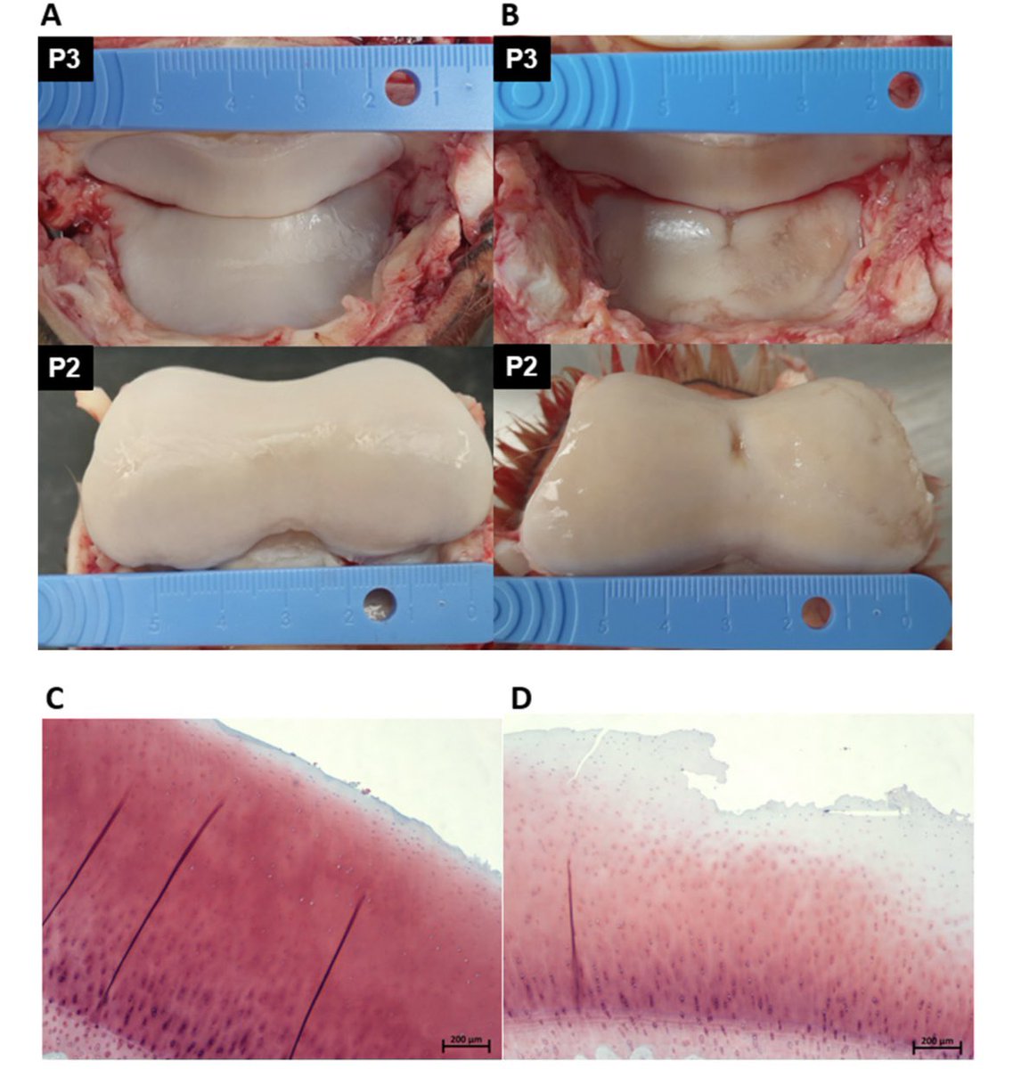 SarahETaylor tweet media