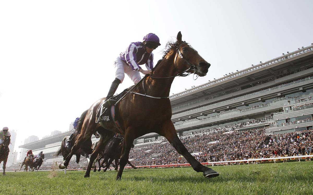 Experience the key for three-strong O'Brien challenge. #HKIR #HKracing 

<a href="/tompeacock/">Tom Peacock</a> reports. 

Read here 👉 racingnews.hkjc.com/english/2022/1…