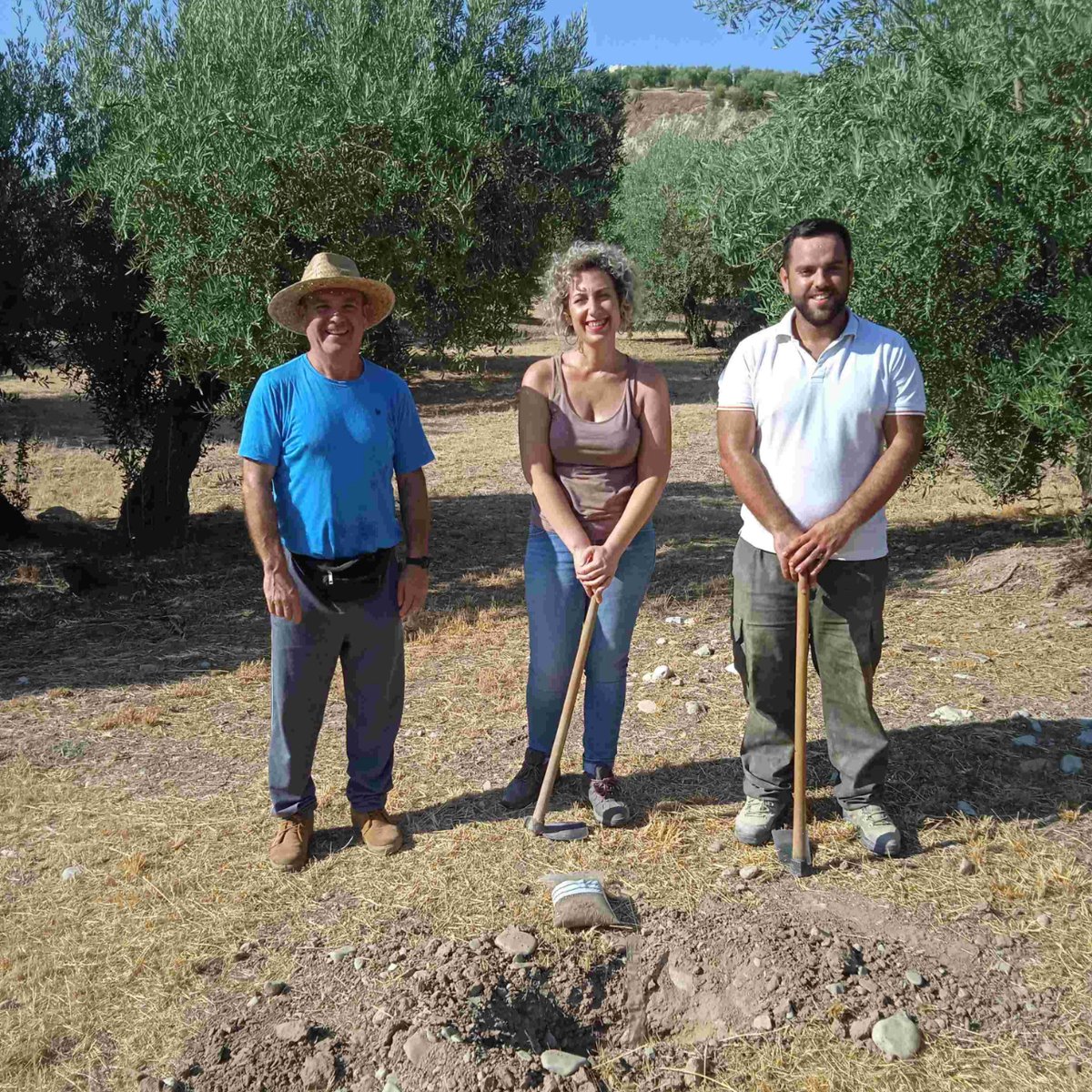 artolio1's tweet photo. 🍃ARTOLIO🍃 partner Inmaculada Olivares Merino, from Spain: “ARTOLIO has been so intense and constructive that it does not seem like time has passed.”

Find out more about her and the project here 👉 https://t.co/rV26ThPMUm

#EU #ARTOLIO #evoo #gomed #spain #jaen #agriculture https://t.co/iBg79GzAuL