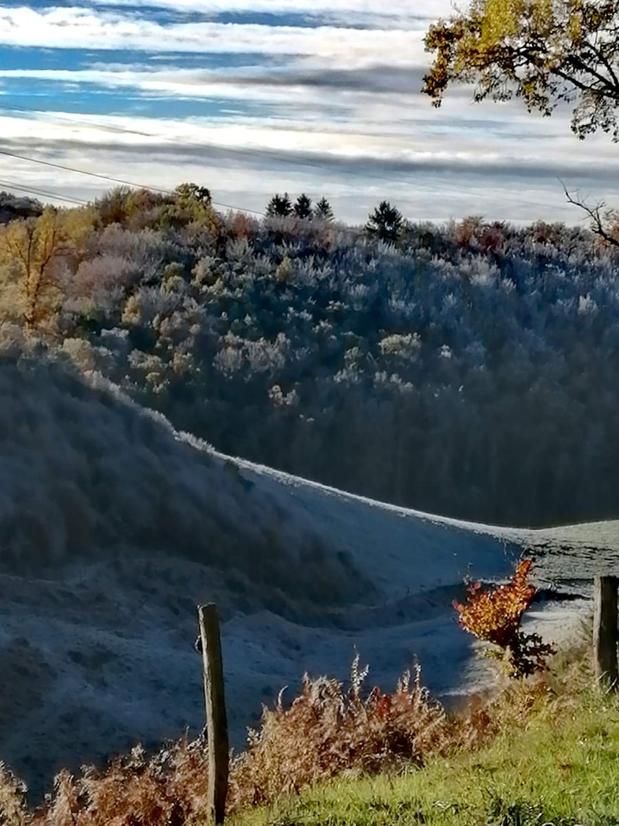 le meilleur 🌴☀️😉 tweet media