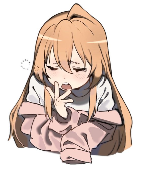 とらドラ久々に見てるけど可愛いな… 