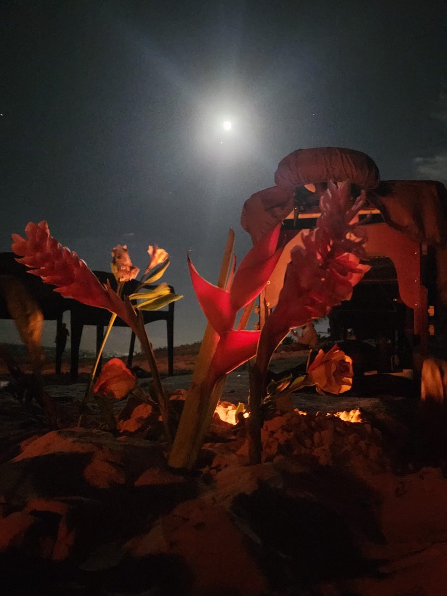 mrtranquilidad's tweet image. GM 🌕🔥🪵