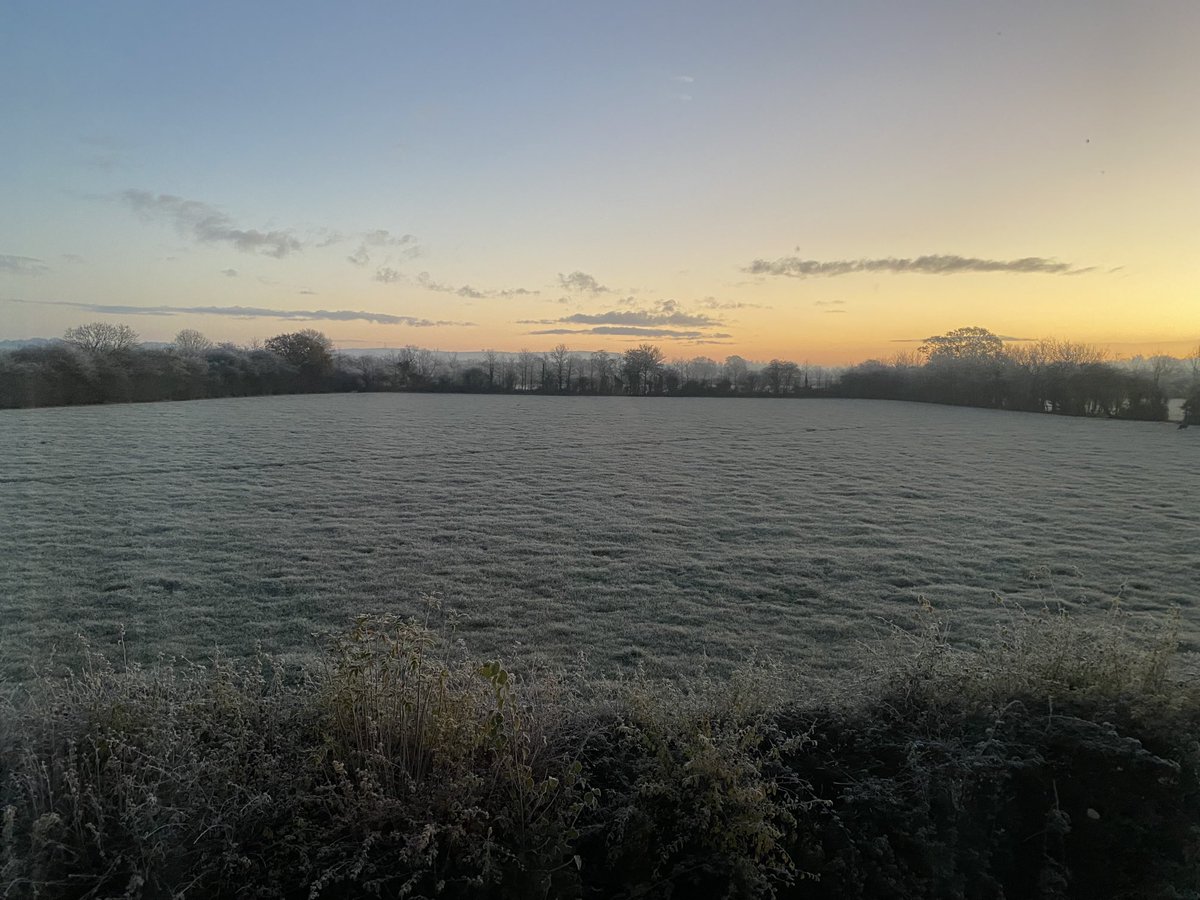 Antony Bulley tweet media