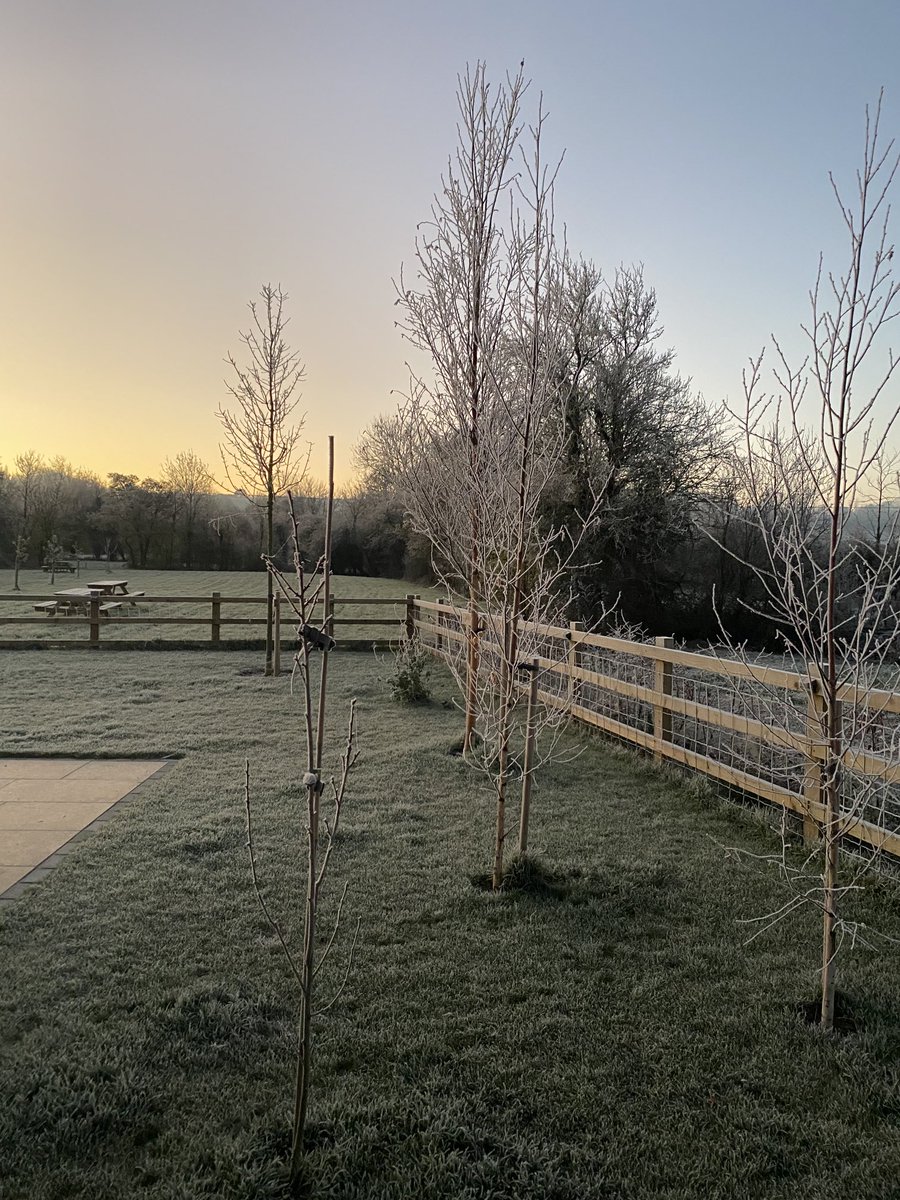 Antony Bulley tweet media