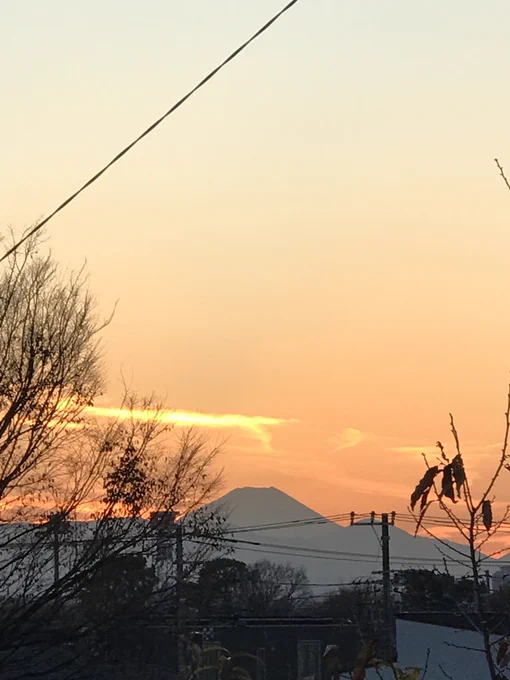 葉が落ちて見やすくなった富士山 