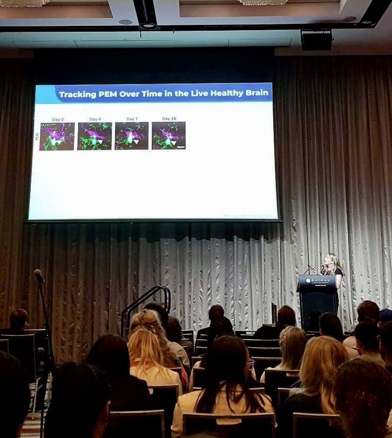 Catherine Foster tweet media