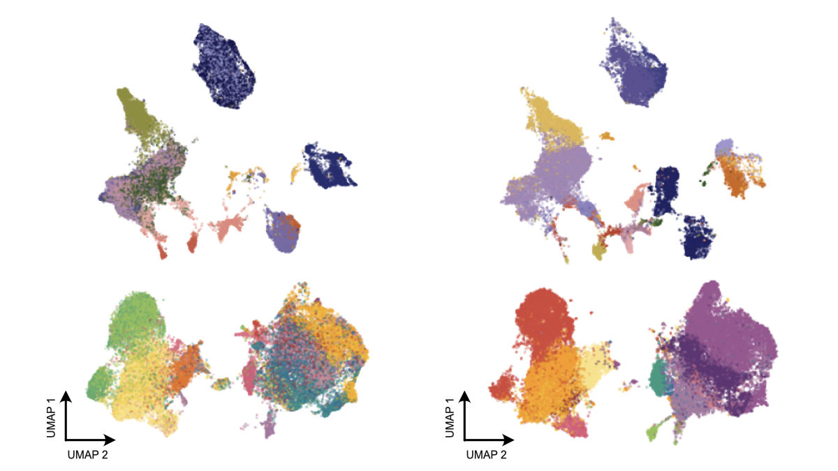 If your at #ASH2022, watch out for this presentation by <a href="/Simontuk/">Simon Steiger</a> on the multiple myeloma bone marrow microenvironment and treatment outcome: ash.confex.com/ash/2022/webpr…