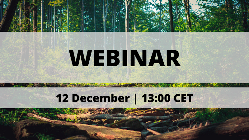 PEFC's tweet photo. The Chilean forest certification system has been submitted for assessment. The public consultation will run from 12 December 2022 to 9 February 2023. Hear more about this revised system in our upcoming webinar on 12 December. Register now 👉 https://t.co/vxS1Jsg1rh @PEFC_cl https://t.co/zdNg0nG48H