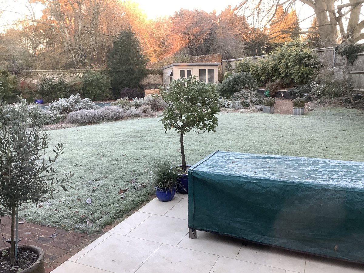 Red Red Design tweet media