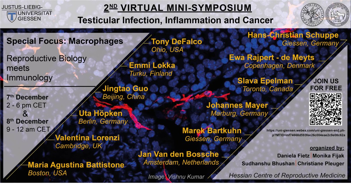 Join us NOW for the second day of our 2nd virtual Mini-Symposium. Today talking about high-throughput approaches assessing immune cell biology and macrophage function in testicular pathology <a href="/S_bhushan_1/">Sudhanshu Bhushan</a> <a href="/DanielaFietz/">Daniela Fietz</a> 

uni-giessen.webex.com/webappng/sites…