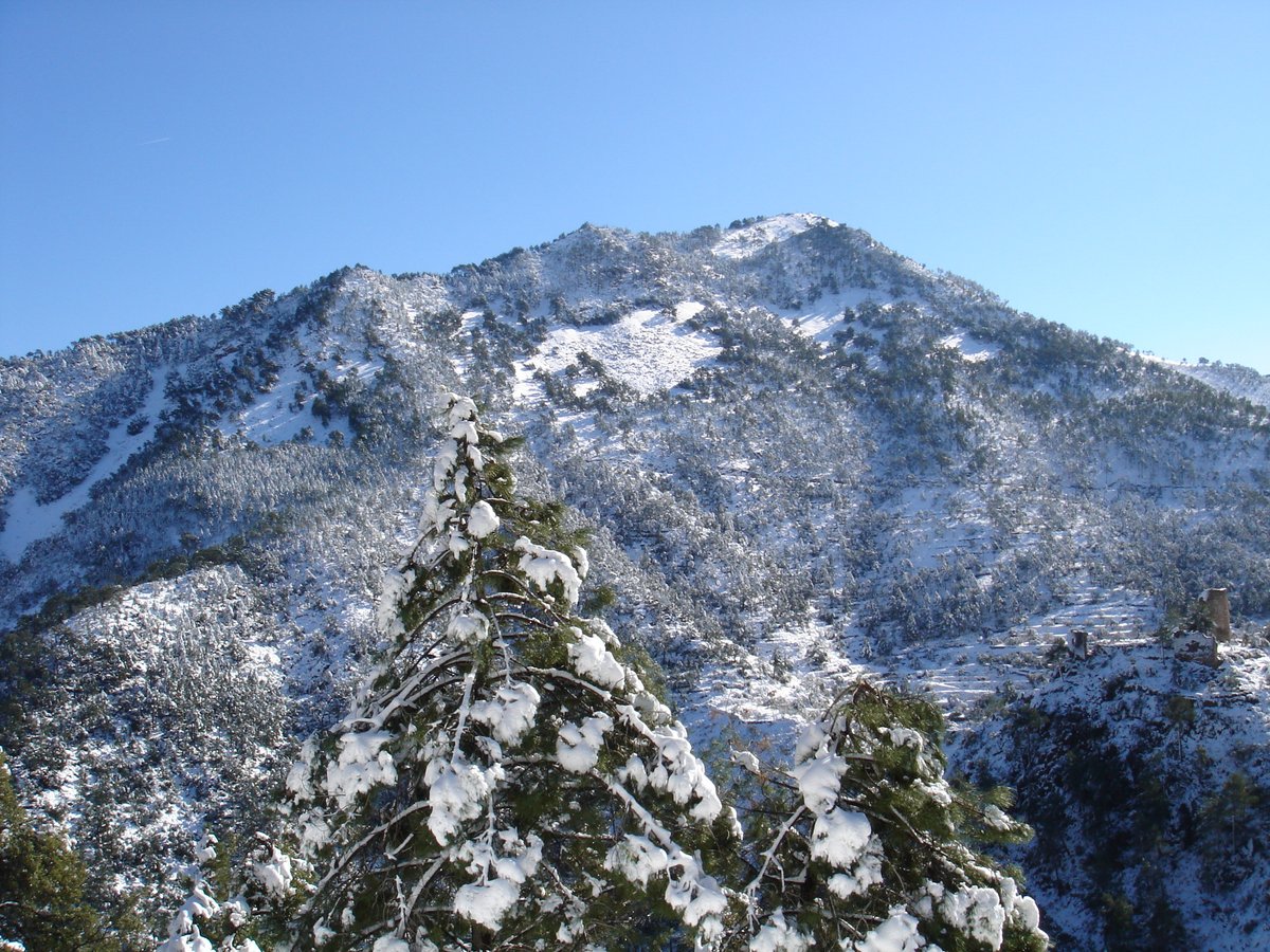 Coves de gel, paisatge del fred. Article: territorionaturaleza.blogspot.com/2022/12/coves-…