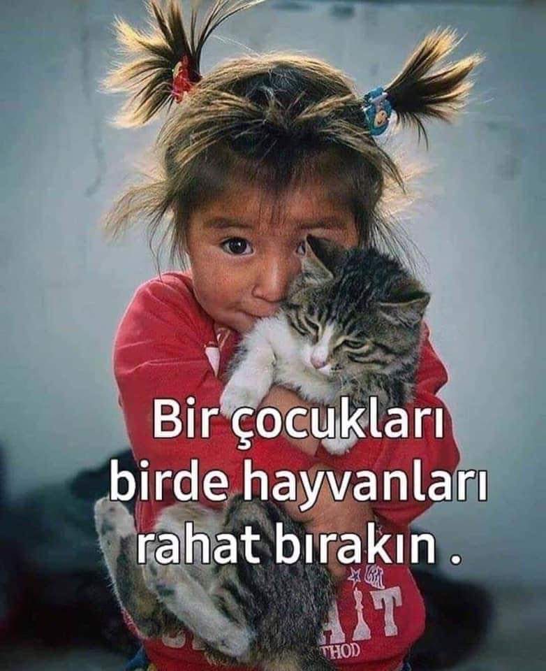 ELLERİNİZİ ÇOCUKLARIMIZ Üzerinden Çekin.
HAYVANLARIMIZI Rahat Bırakın.