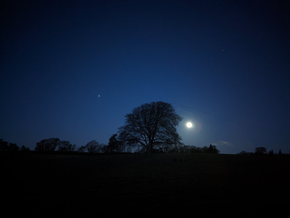 Another clear morning with a beautiful bright moon 🌚 #noticingnature #noticenature  #walkingwithnature #natureconnectedness #scotland #winter