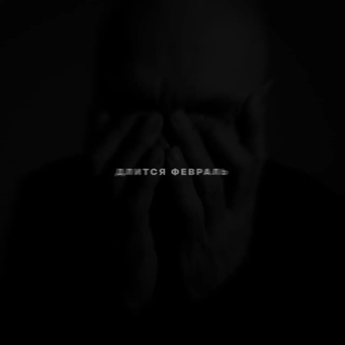 Влади tweet media