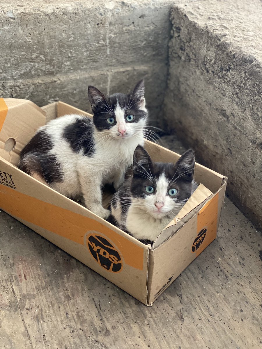 Bir çok insandan değerli🌸❤️