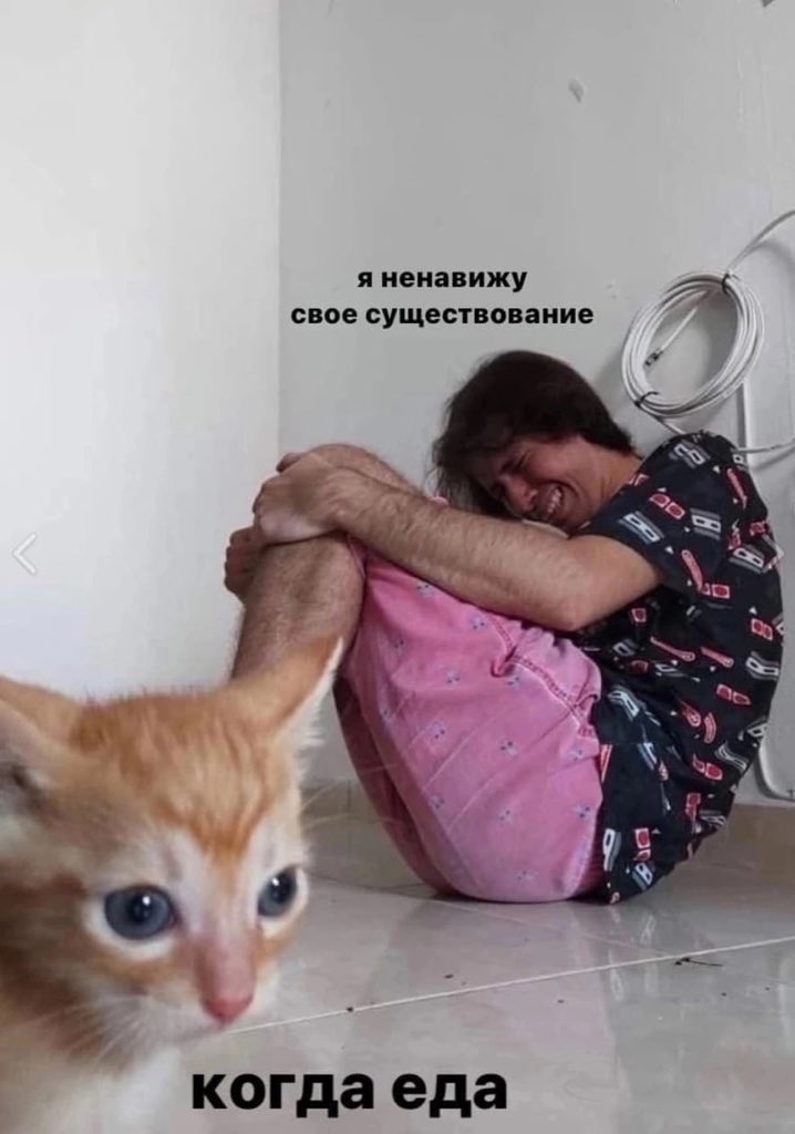 грустный кобель tweet media