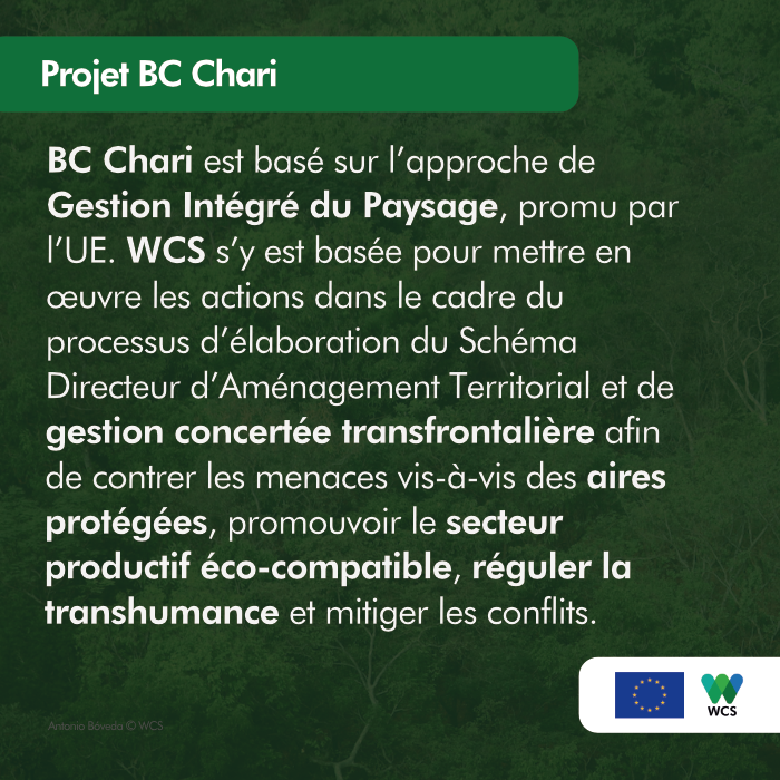 WCS République Centrafricaine tweet media