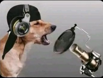 GodannyKe's tweet photo. Nilikua nimezoea ku Go deep ndani🎶🎶that why wananiita GoDanny na🎶🎶 kwetu ni Kenya uko ndani🎶🎶 https://t.co/MVF6MEw16s