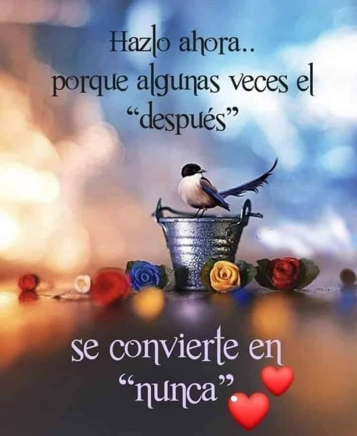 VidaEquilibrada (@vidaequilibrad4) on Twitter photo 