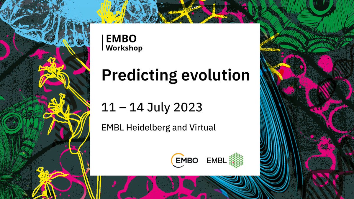 If you work at the interface of evolution, quantitative genetics, development, and systems biology, this one is for you! 🧬 🦋 #EMBOPredictEvo will explore the evolution of biological systems from genes and molecules to organism development and ecology. 🔎 s.embl.org/pev23-01