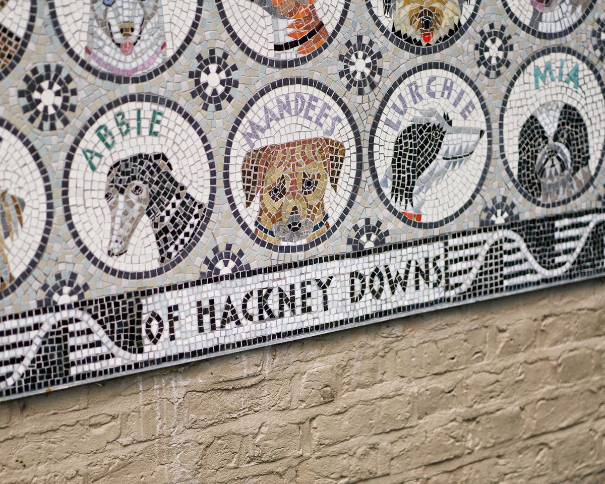 BookwiseOwl's tweet photo. RT @FootwaysLondon: Hounds of #Hackney Downs
No park is complete without its dogs, and this mosaic pays joyful tribute to them. It is the work of the #HackneyMosaicProject which helps people recovering from addiction and mental health problems create ar… https://t.co/AWwuihN45M