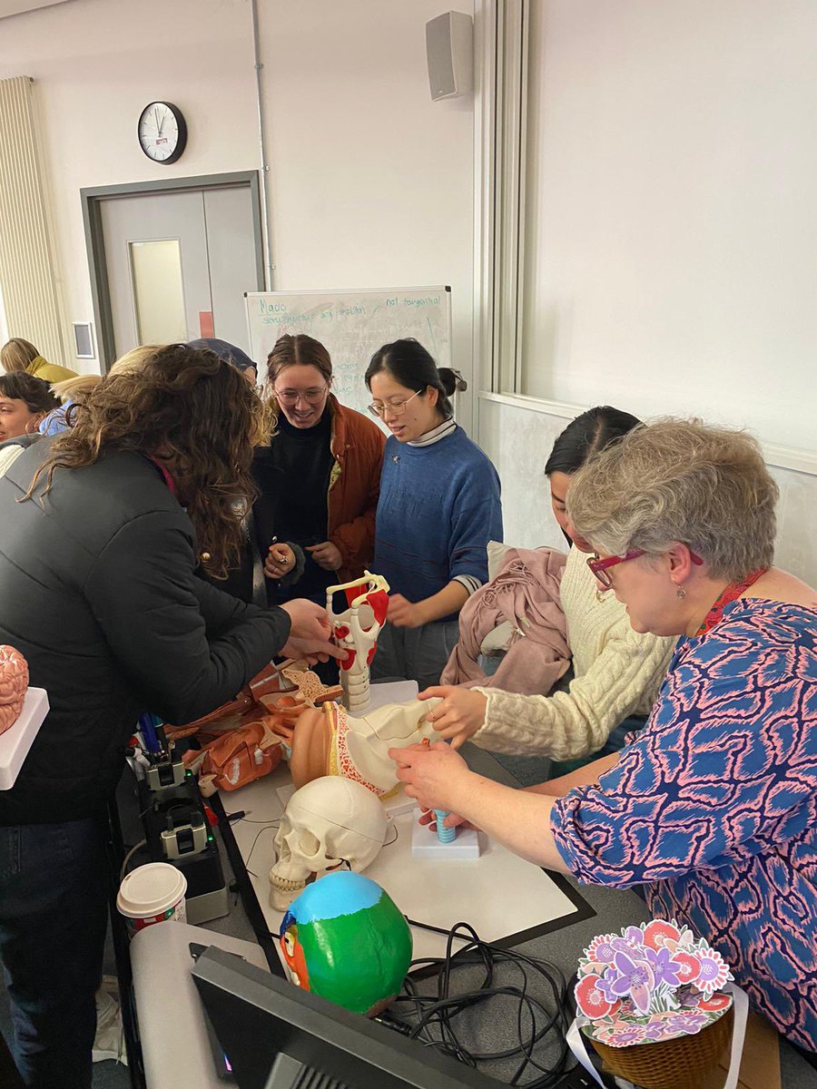 Meeting Brian (who is an anagram of BRAIN) in the last lecture of SLAN0011 neuroanatomy - I shall miss all the Latin 🥹🫣🧠 <a href="/UCL_MScSLS/">UCL speech & language therapy</a>