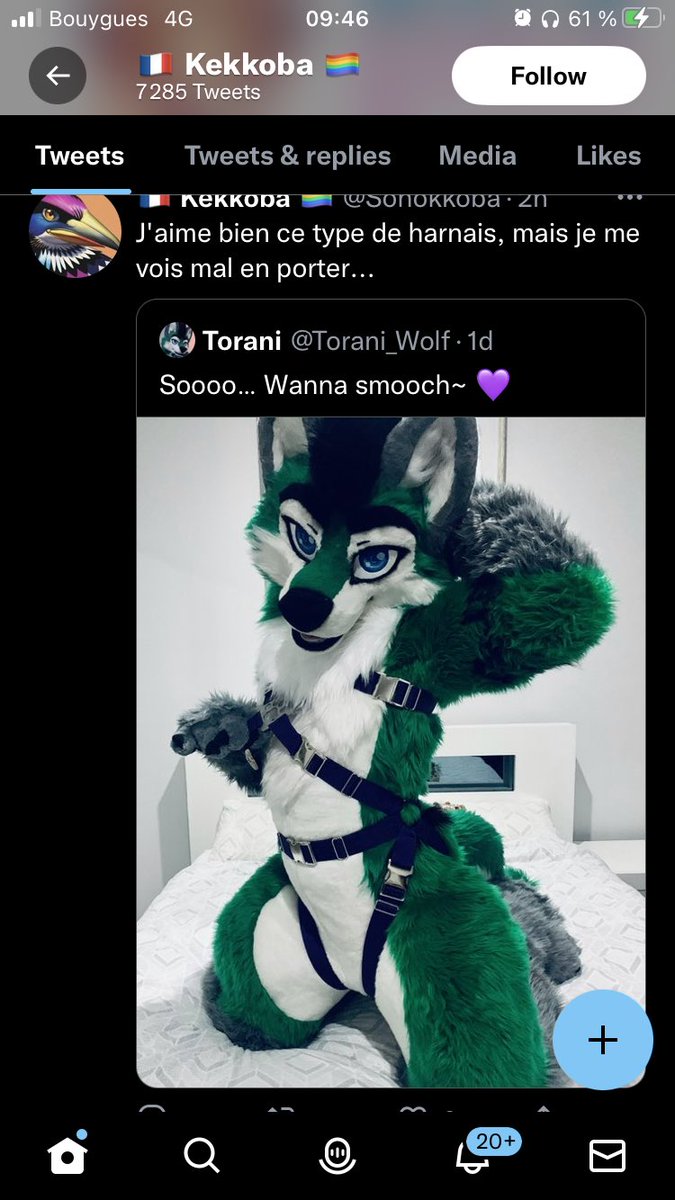 𝐘𝐚𝐧𝐢𝐬 ⁶⁶⁷ tweet media