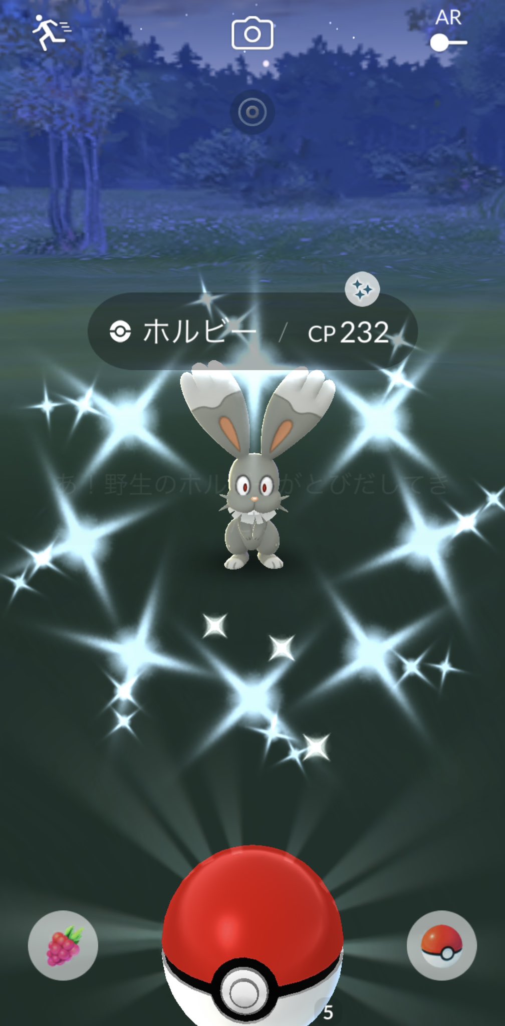 真雪 ポケモン 馬 Mayuki1626 Twitter