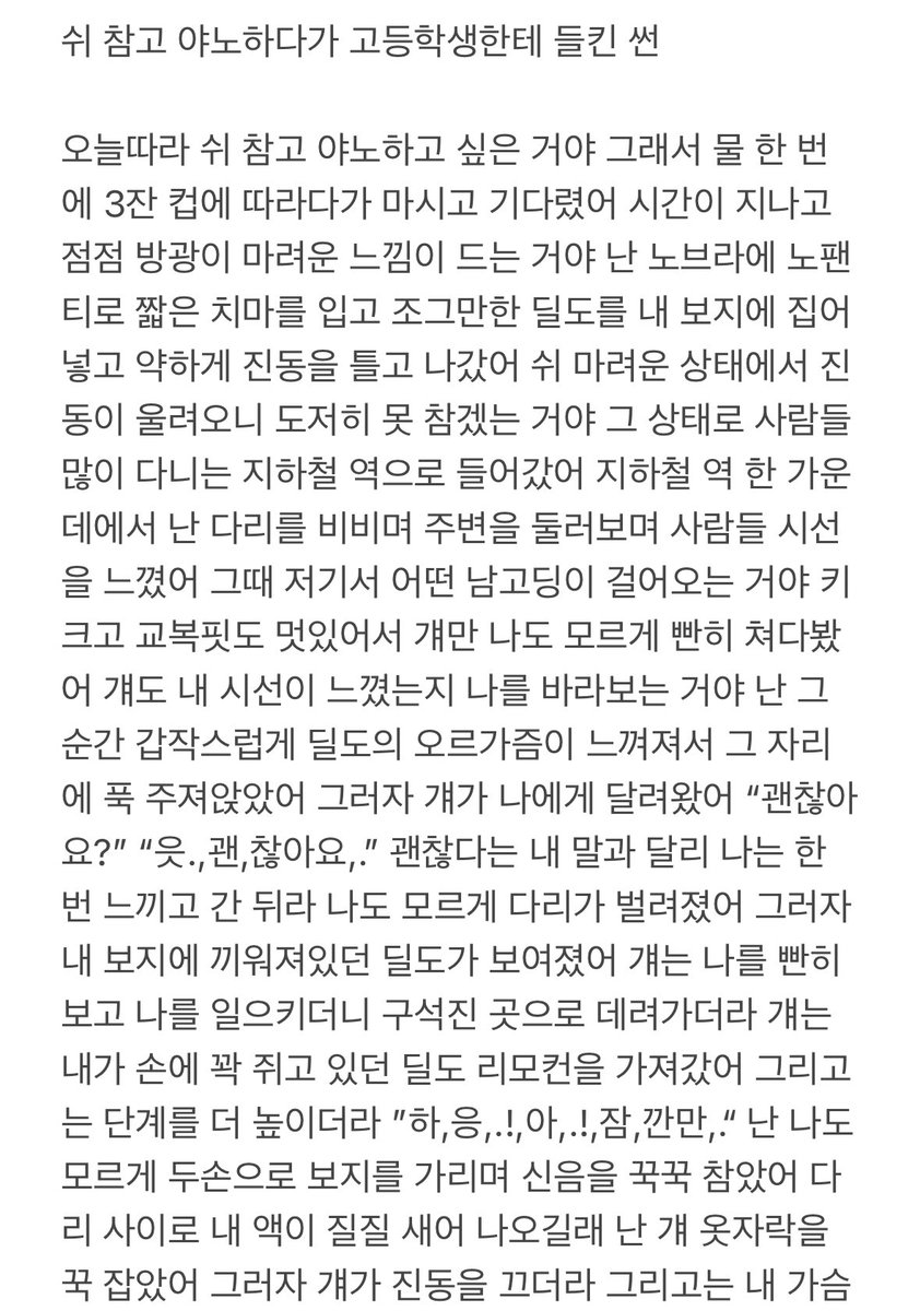 쉬 참고 야노하다가 고등학생한테 들킨 썰 성인용품 섹스 신음 야노 야설 야썰 섹트 남공여수
