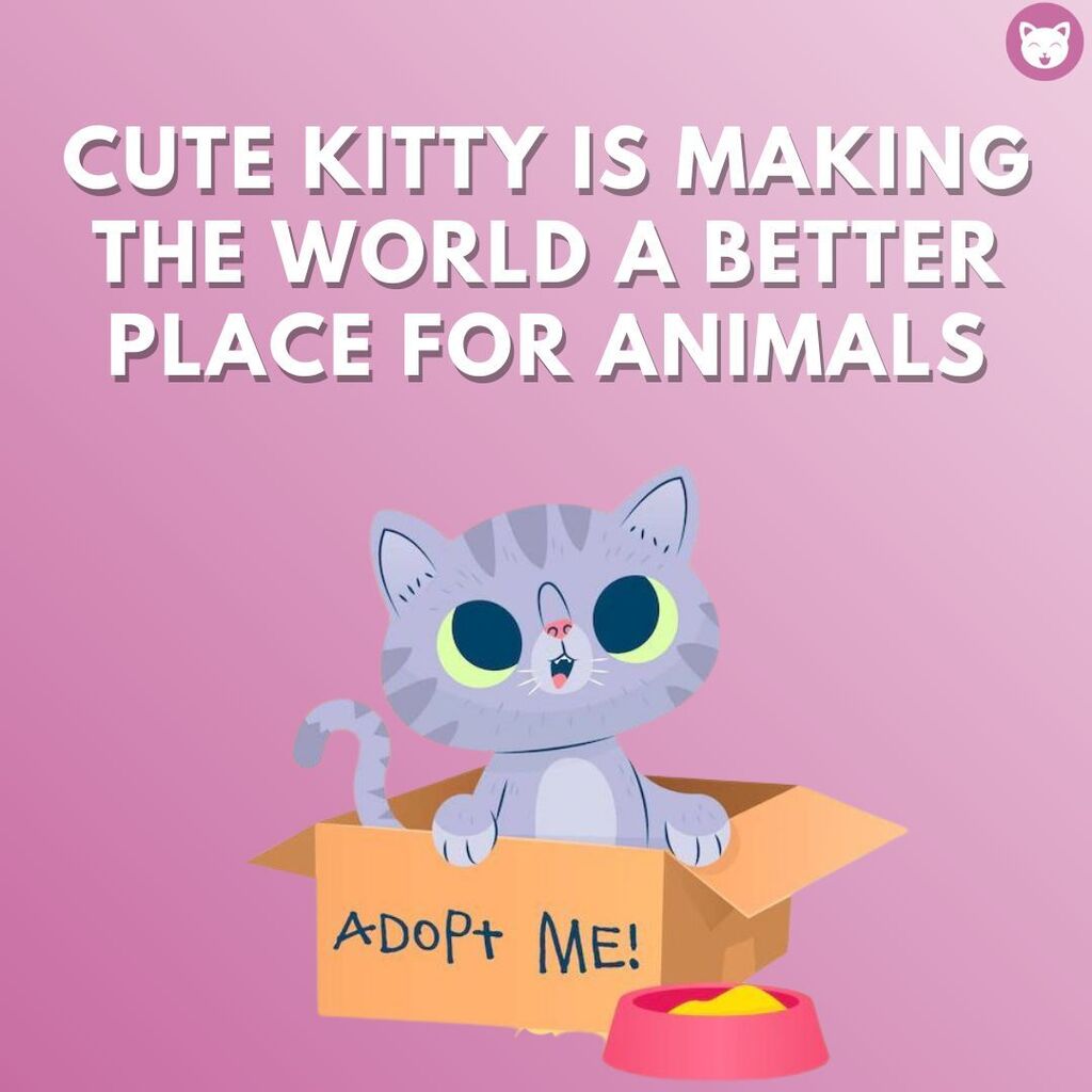 cutekittyorg's tweet photo. They can survive if you help them to survive
.
.
.
.
.
.
#helpcat #catsonly #catsforever #catsforlife #catloversworld #catsarethebest #catsworld #catloversworld #cryptocurrencytrade #cryptocurrencyinvesting #cryptocurrencysolution #cryptocurrencyrevoluti… https://t.co/NE1C107cxJ https://t.co/o6HTLP73SV