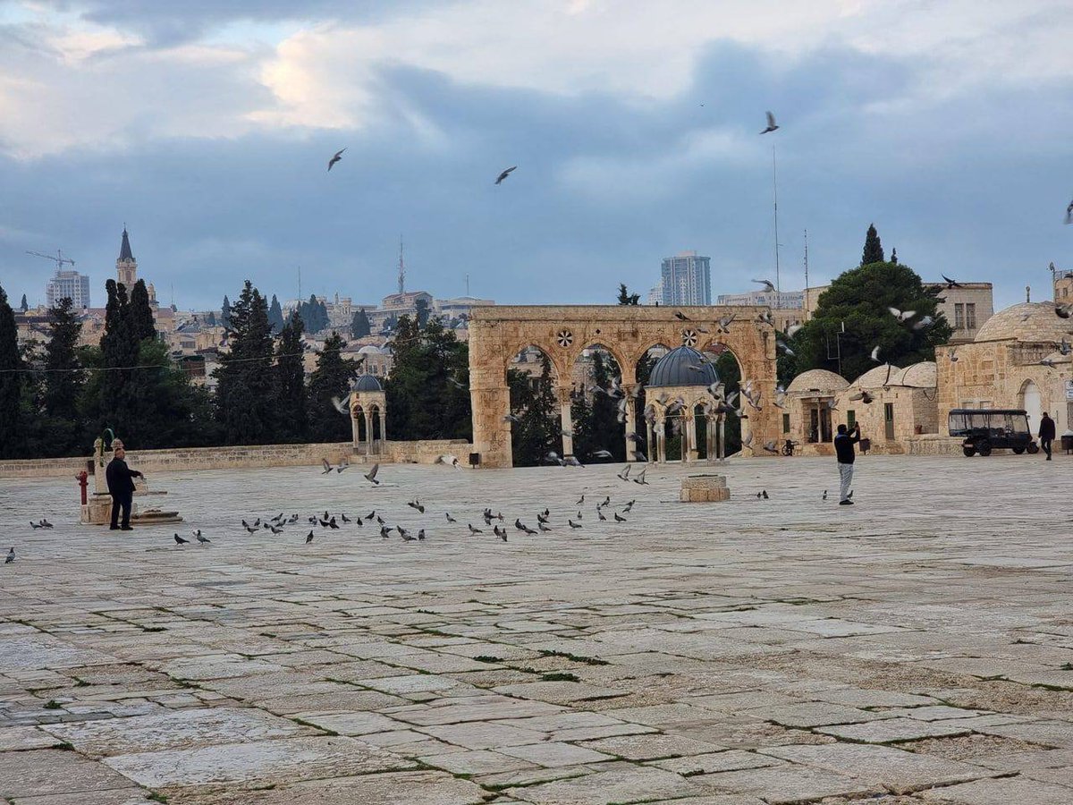 Good morning everyone ✋🇵🇸