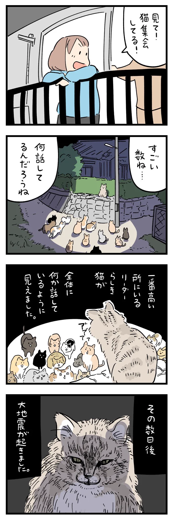 猫の集会を目撃した数日後に･･･！ある不思議なエピソード