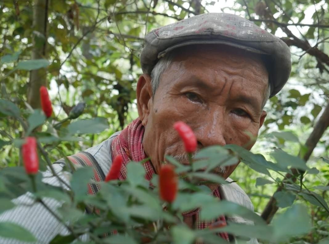 farmer_samir's tweet photo. Keeping Eye on our Nature-gifted heirloom seeds is key to our Freedom as Farmers.

If we loose them with their ability to regenerate in our farms, we become dependent farmers.

We have to save them from the human lust to owe them as a business in the race of quantifying food. https://t.co/CP6IXVl0nd